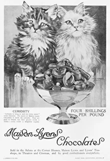 Advert for Maison Lyons chocolate, 1925