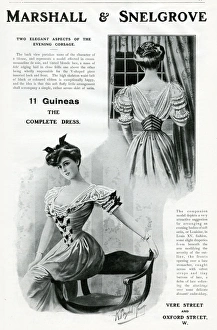 Two Elegant Women 1900