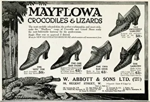 Advert for Mayflowa crocodile and lizard womens shoes 1923