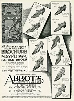 Images Dated 13th October 2017: Advert for Mayflowa reptile women shoes 1926