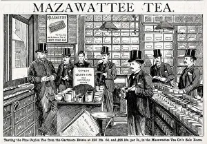 Beverage Prints: Advert, Mazawattee Tea Co