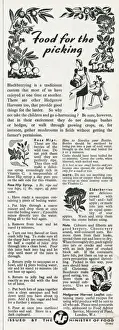 Advert for the Ministry of Food 1943