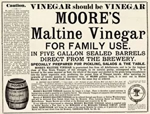 Adverts Gallery: Advertisement for Moores Maltine Vinegar from the Midland Vinegar Company