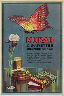 Jazz Age Club Gallery: Advert for Murad Turkish cigarettes, 1924