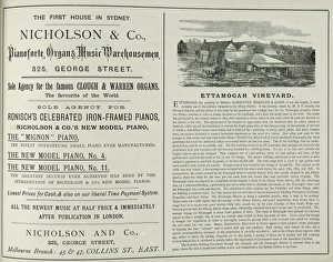 Images Dated 20th February 2012: Advertisement for Nicholson and Co, Australia
