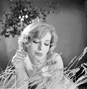 Advertisement for Nivea shampoo