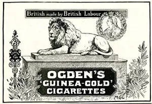 Guinea Prints: Advert for Ogdens Guinea-Gold Cigarettes