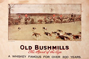 Images Dated 16th November 2011: Advertisement for Old Bushmills Whiskey - Fox Hunt