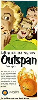 Oranges Prints: Advertisement, Outspan Oranges