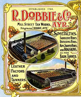 Tanning Prints: Advert, R Dobbie & Co, Leather Tanners, Ayr, Scotland