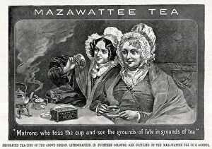 Teller Collection: Advert, Reading the Tea Leaves, Mazawattee Tea Co