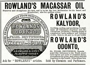 Dental Gallery: Advert for Rowlands Macassar Oil 1890