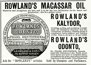 Advert for Rowlands Macassar Oil 1890