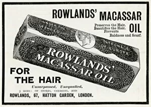 Images Dated 11th October 2017: Advert for Rowlands Macassar Oil 1902