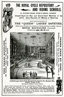 Advert for Royal Cycle Repository and Riding School 1896