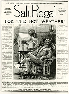 Antiseptic Collection: Advert for Salt Regal 1889
