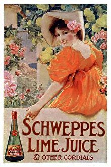 Schweppes Prints: Advert, Schweppes Lime Juice Cordial