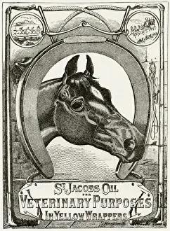 Jacobs Prints: Advert for St Jacobs Oil in yellow wrappers 1888