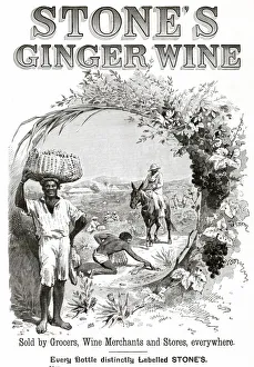 Grocers Gallery: Advertisement for Stones Ginger Wine. Date: 1893