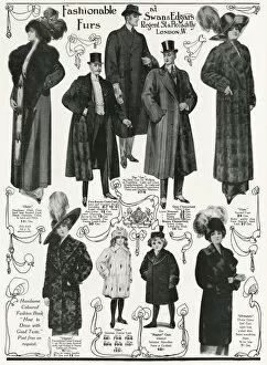 Advert for Swan & Edgars fur coats 1911