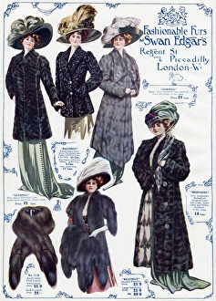 Images Dated 8th March 2016: Advert for Swan & Edgars womens fur coats 1909