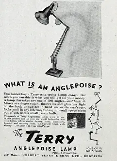 Terry Prints: Advert for Terry Anglepoise Lamps - currently unavailable to buy