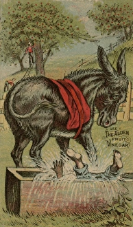 Apple Pickers