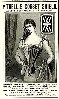 Rejane Prints: Advert, Trellis Corset Shield