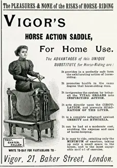 Advert for Vigors exercise horse at home 1895