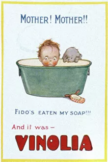 Soap Collection: Advertisement for Vinolia Soap