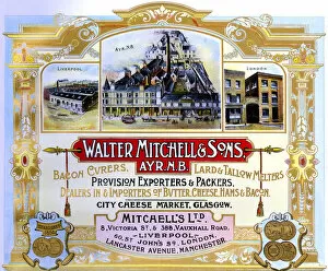 Cheese Collection: Advert, Walter Mitchell & Sons, Ayr, Scotland