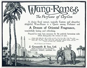 Fragrance Prints: Advert for Wana Ranee - Oriental Fragrance 1920