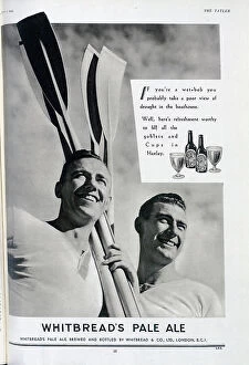 Oars Collection: Advert for Whitbread's Pale Ale