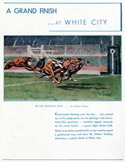 Images Dated 20th March 2012: Advert for White City Greyhound Racing 1937