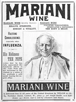 Wine Prints: Advert / Wine / Mariani 1890