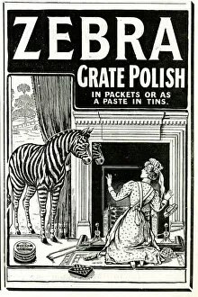 Zebra Gallery: Advert for Zebra Fire Grate Polish