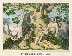 Adam Accepts the Apple