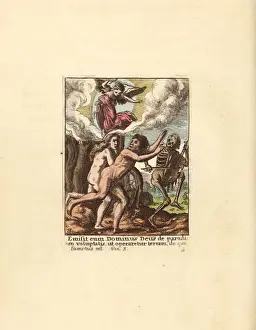 Wenceslaus Prints: Adam and Eve driven out of the Garden of Eden