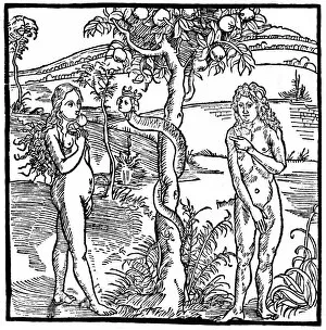 Images Dated 10th March 2016: Adam and Eve with the serpent in the Garden of Eden