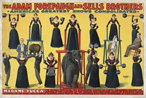 Consolidated Prints: The Adam Forepaugh and Sells Brothers - Americas greatest s