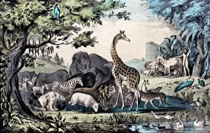 Images Dated 6th September 2011: Adam Naming the Animals
