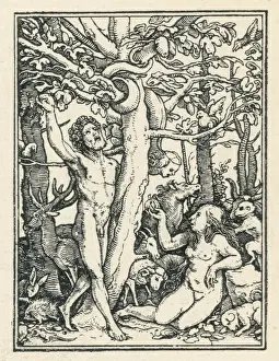 Adam&eve Eat