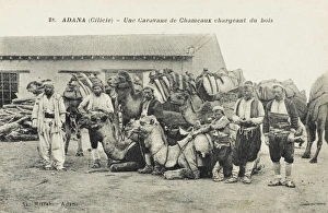Antioch Gallery: Adana, Turkey - Caravan of Camels