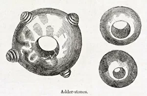 Serpent Collection: Three adder stones