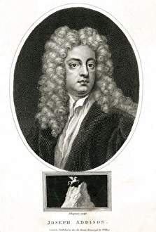 1672 Collection: Addison / Chapman