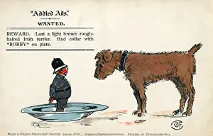 Meaning Prints: Addled Ads - Humorous postcard - Irish Terrier and Bobby