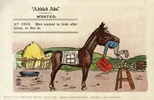 Interpretation Prints: Addled Ads - Living in a HORSE