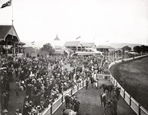 Adelaide Australia, c. 1900-1910 - Victoria Park Racecourse