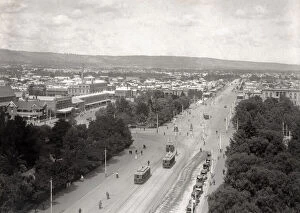 Adelaide Gallery: Adelaide Australia, c.1900-1910 city from GPO tower, trams