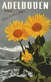 Oberland Prints: Adelboden